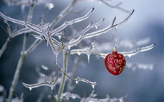 A red ornament hangs on an icy tree branch.