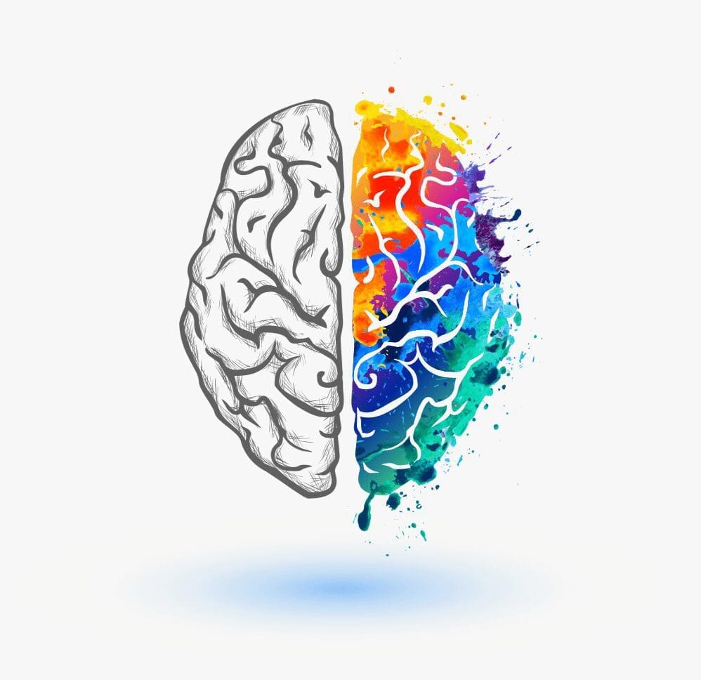 The left side of a brain is stenciled in black and white, and the right side of the brain is colored with a rainbow.